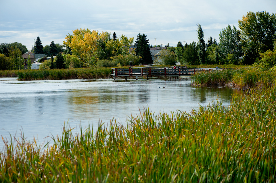 Aquatic Centre  City of LeducAquatic Centre