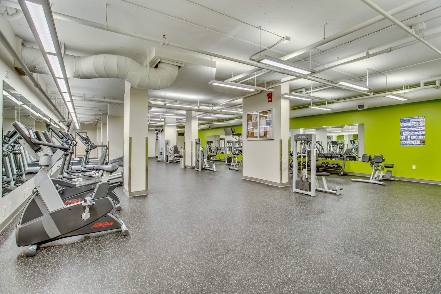 collection, amenities