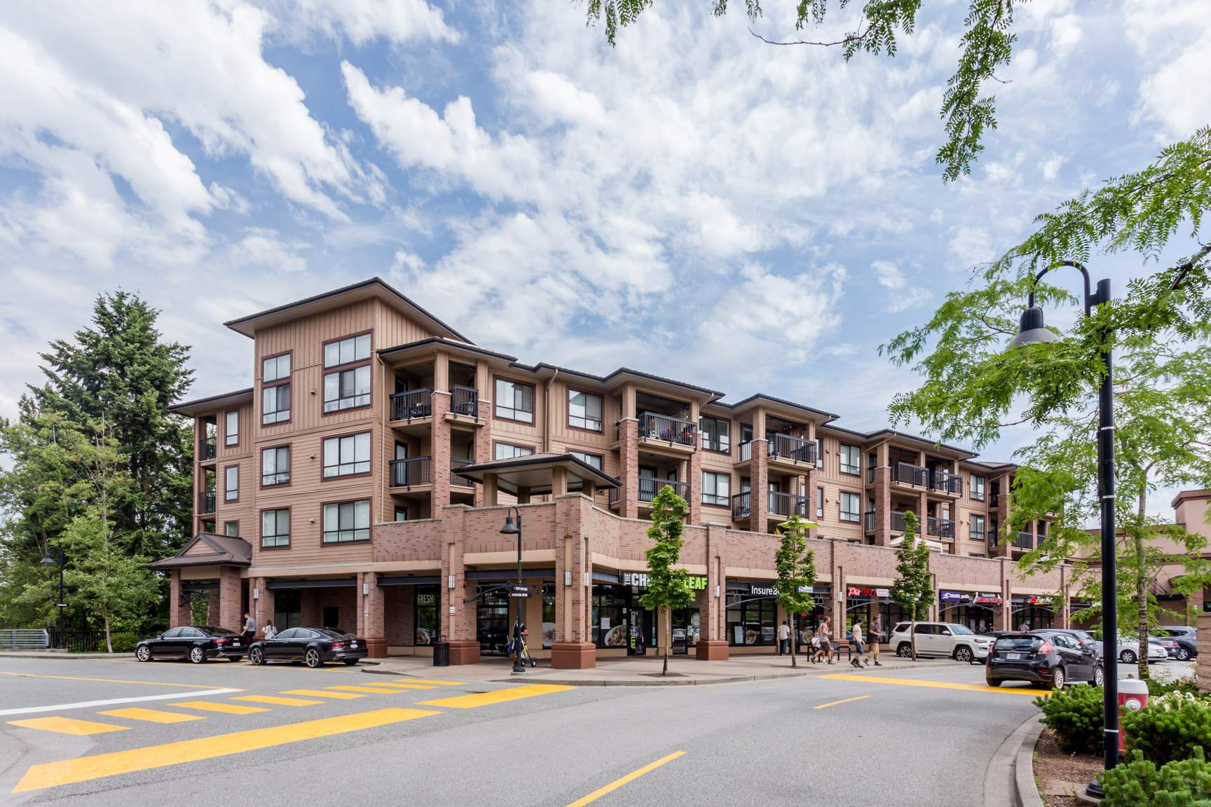 collection, amenities