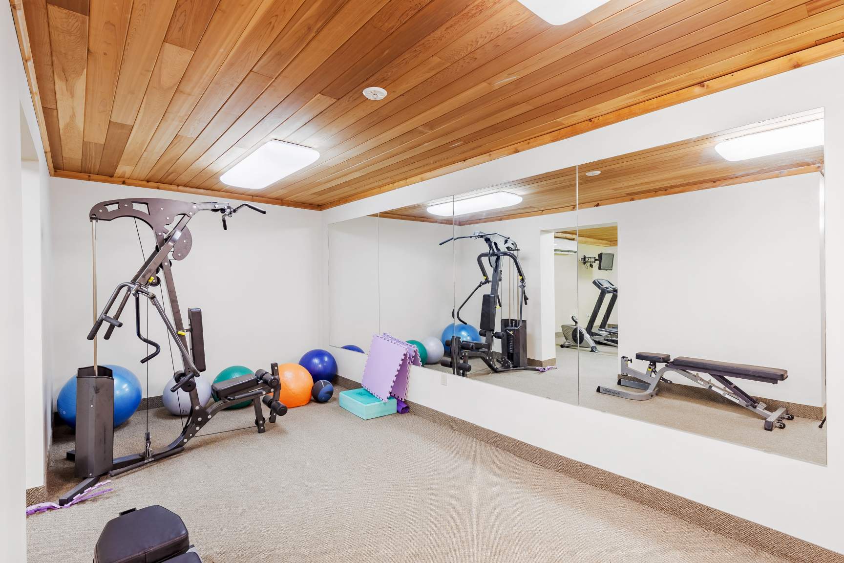 collection, amenities