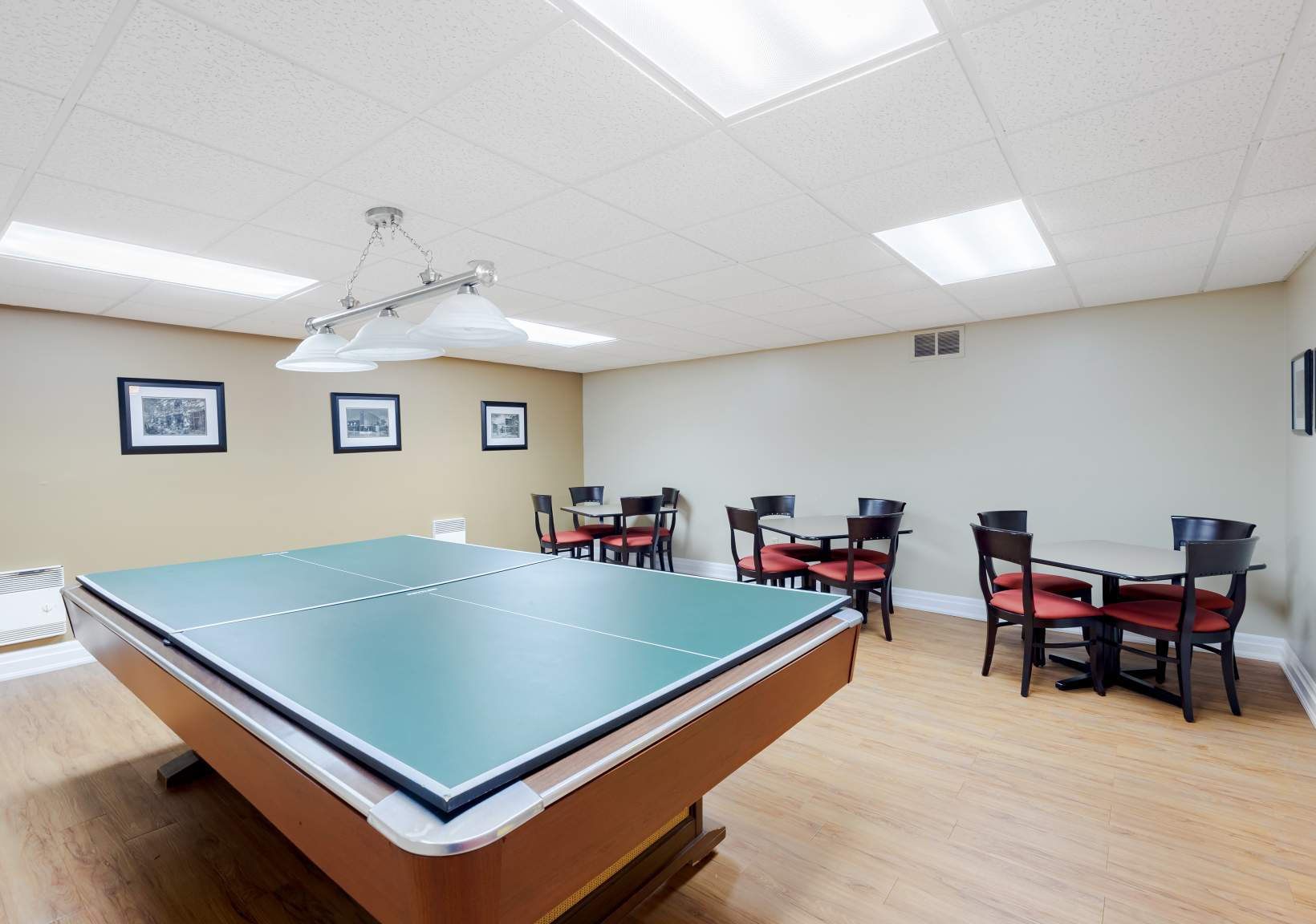 collection, amenities