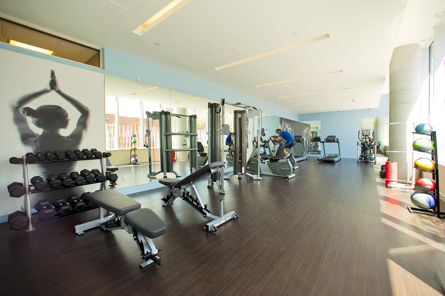 collection, amenities