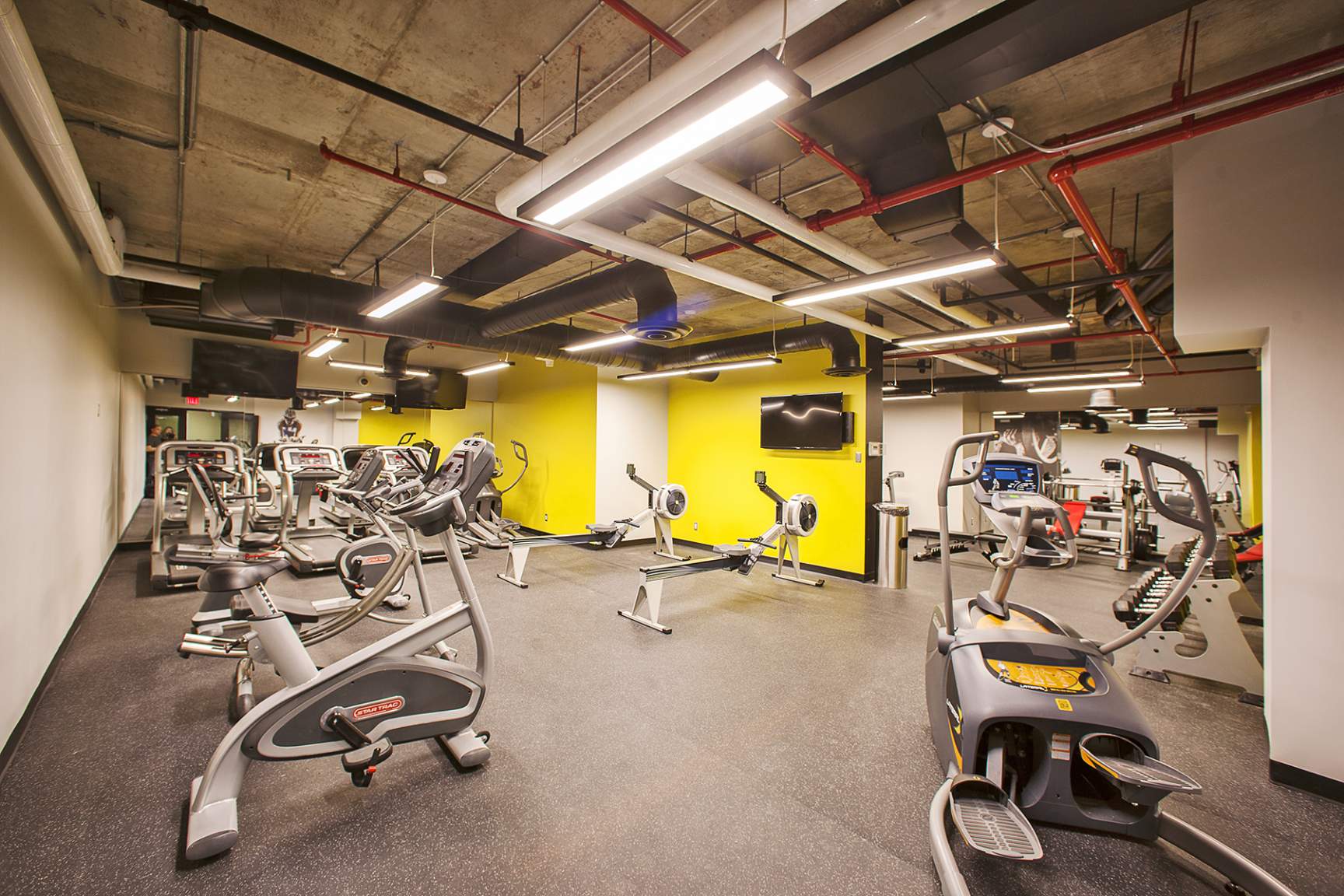 collection, amenities