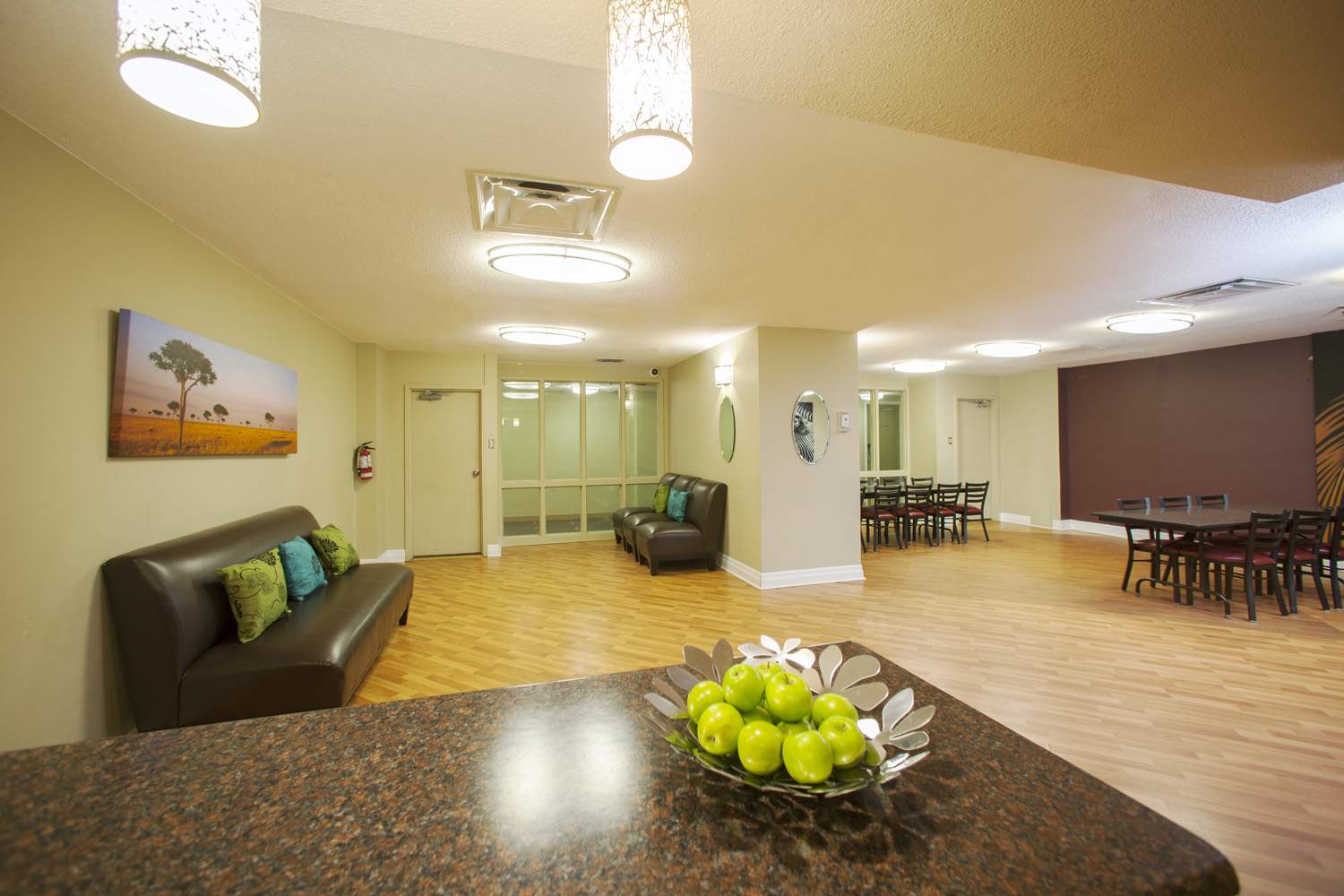 collection, amenities