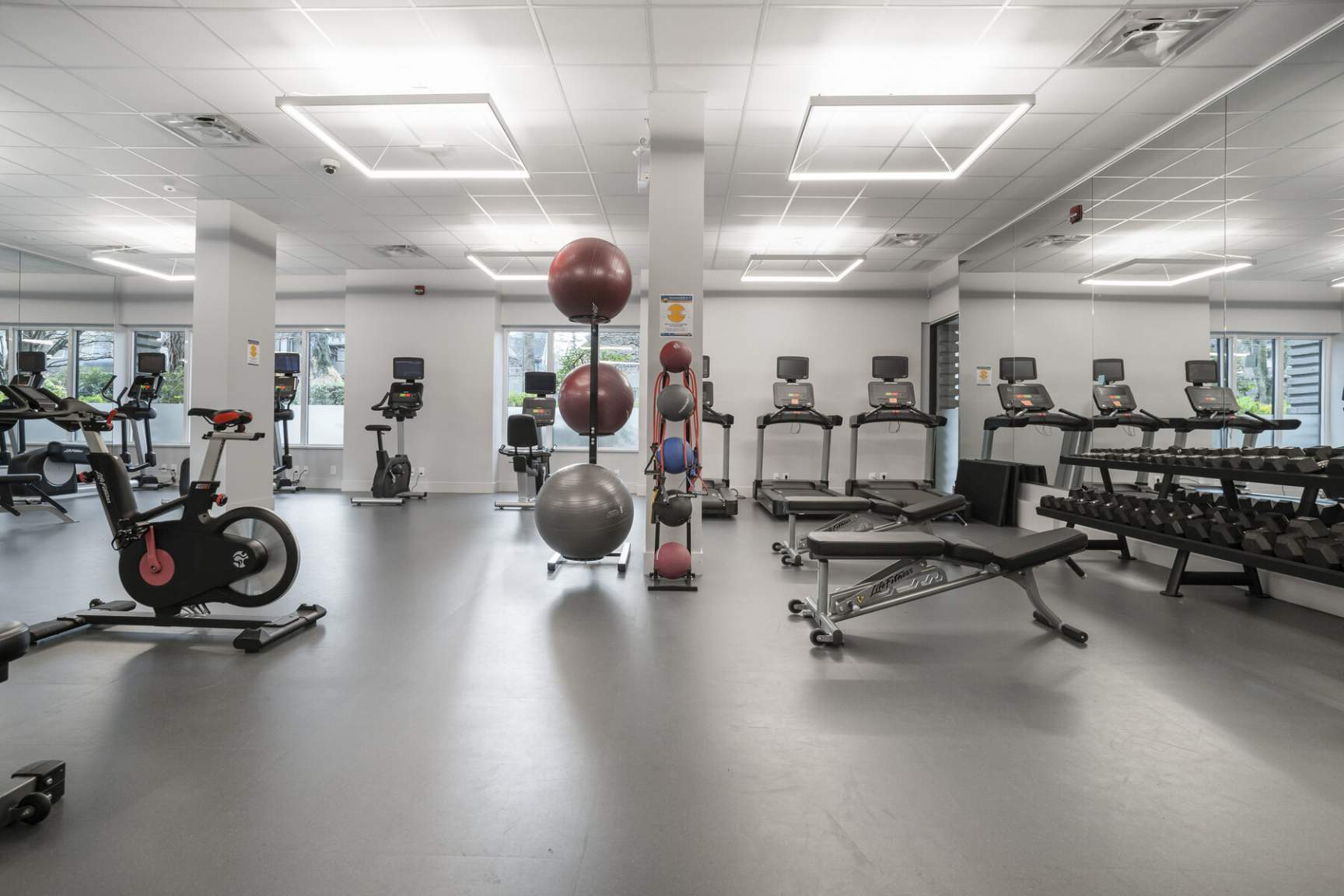 collection, amenities