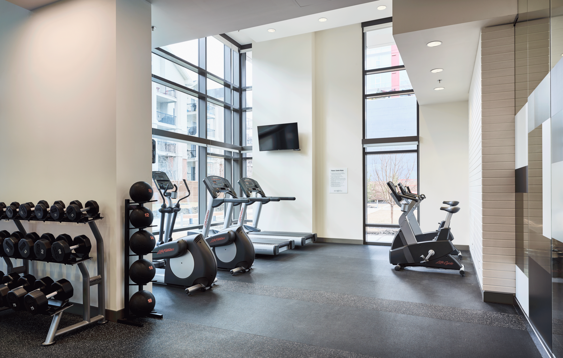 collection, amenities