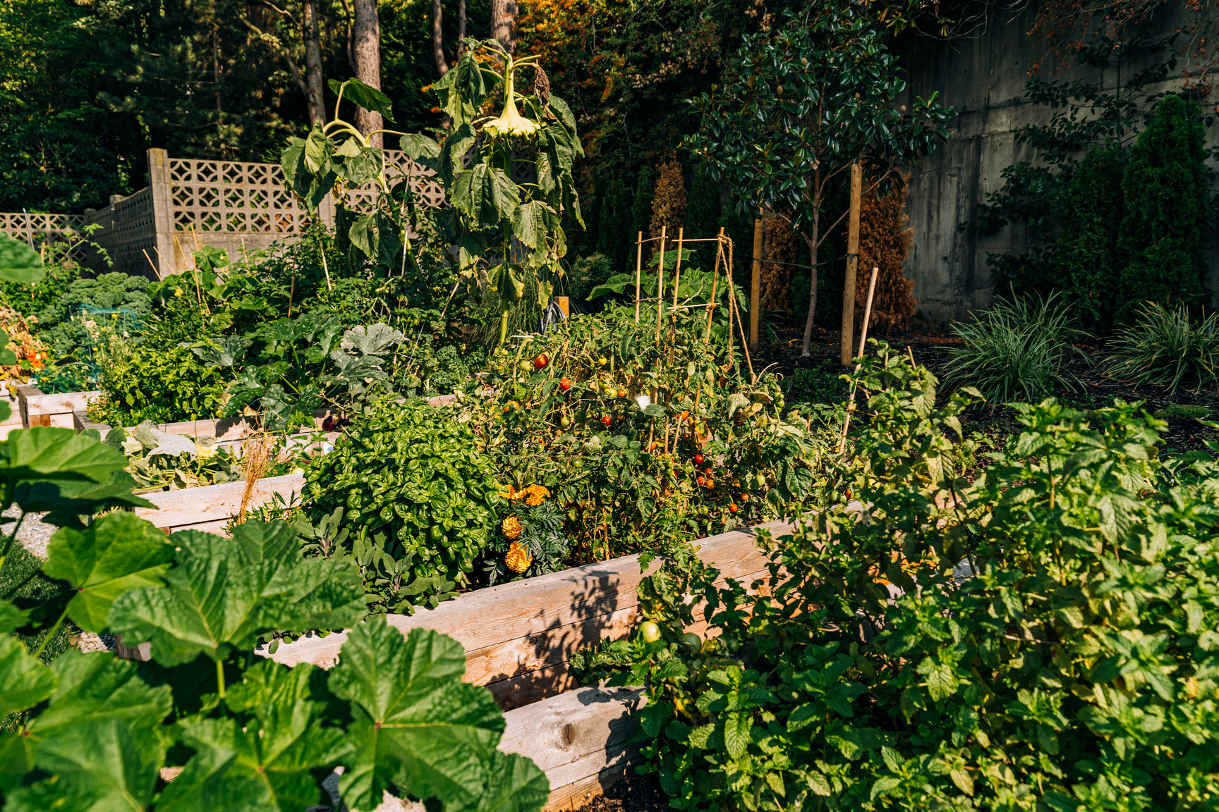 collection, amenities