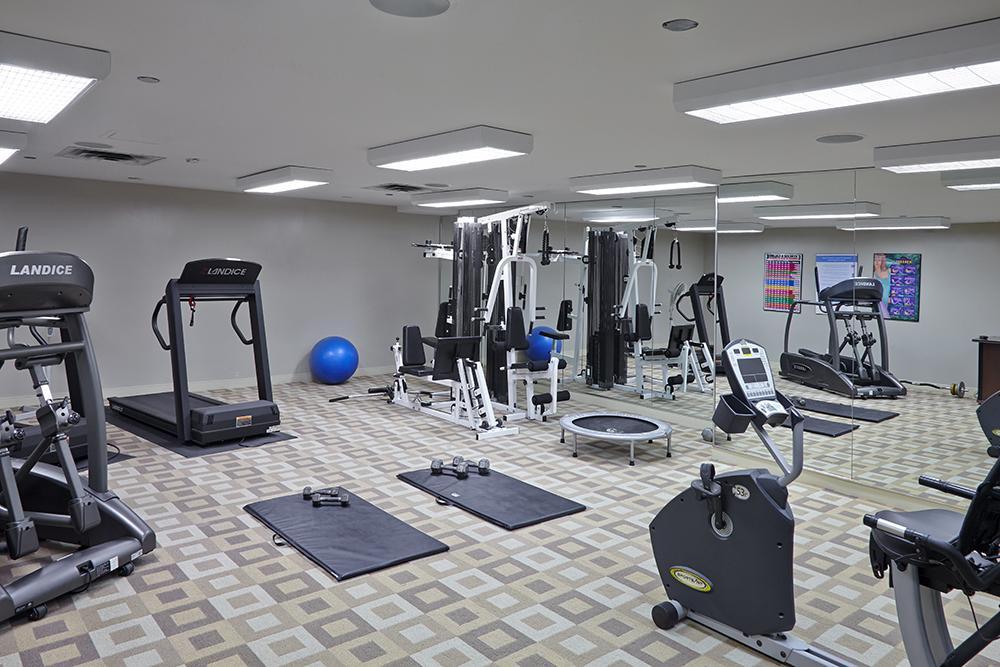 collection, amenities