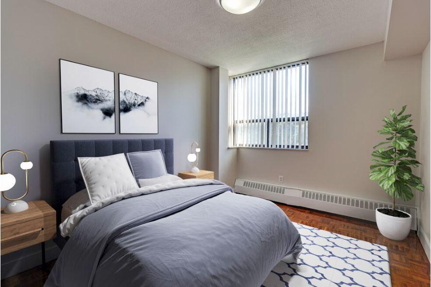 collection, amenities