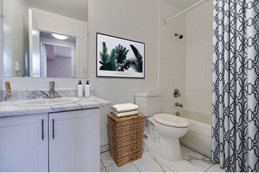 collection, amenities