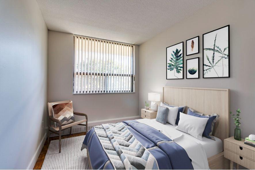 collection, amenities