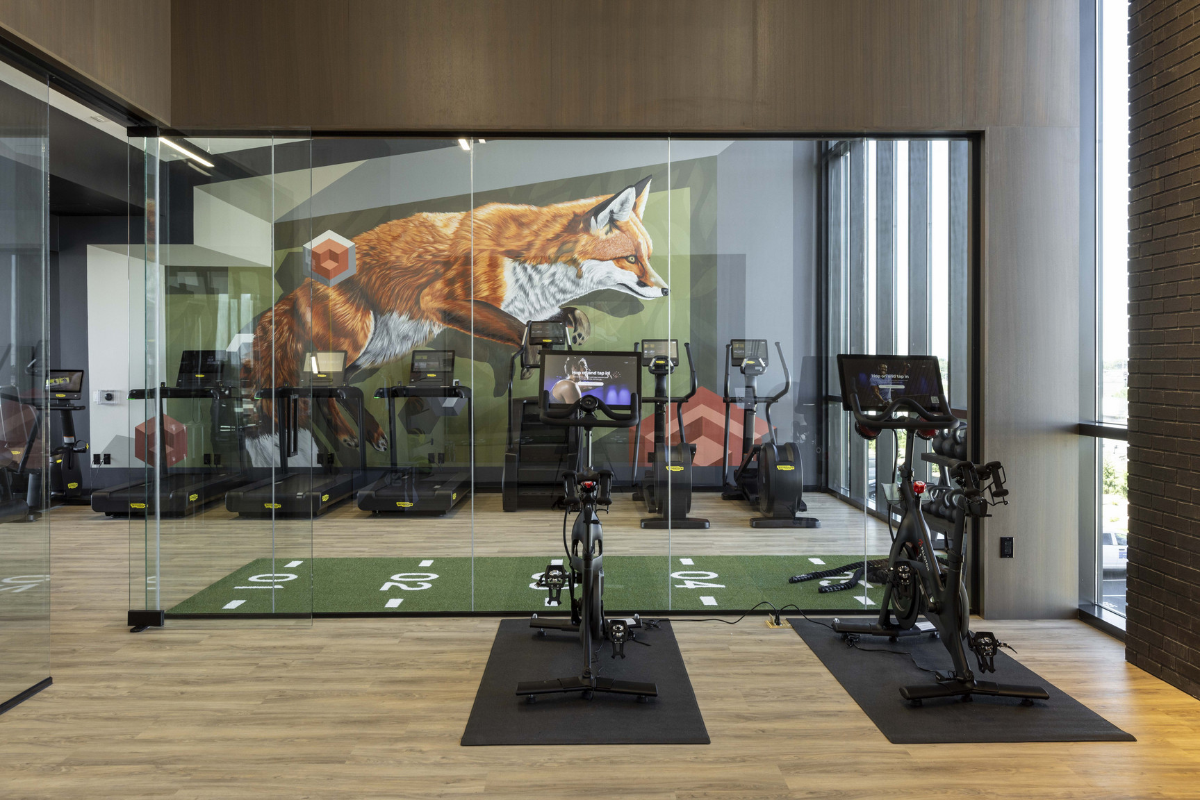 collection, amenities