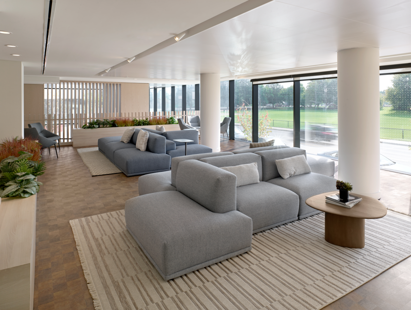 collection, amenities