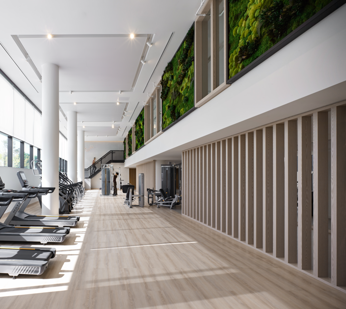 collection, amenities