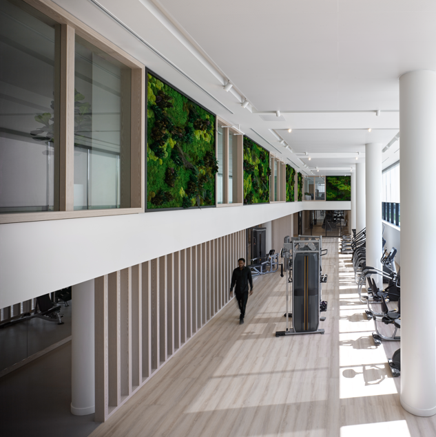 collection, amenities