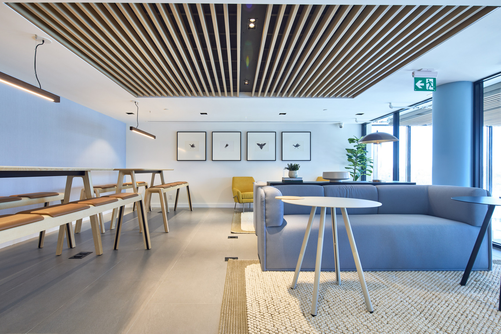 collection, amenities