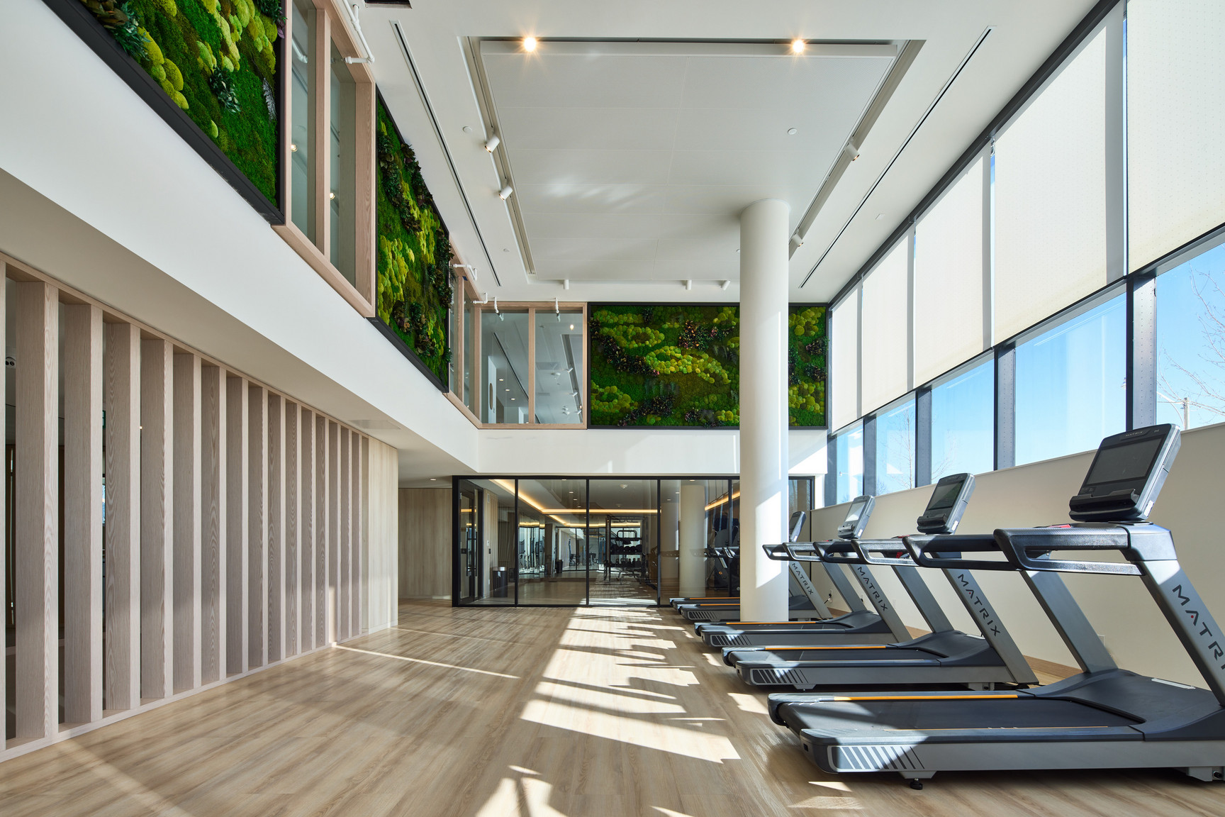 collection, amenities