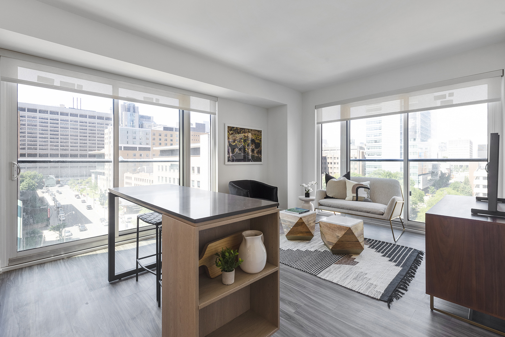77 & 99 Gerrard Street West, Toronto, ON M5G 2B5 — photo 3