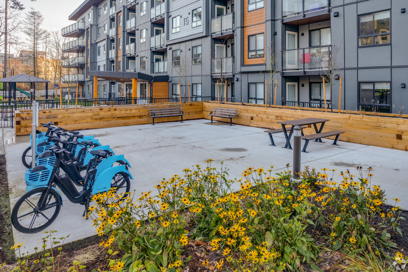 Bike & Car Share Program image