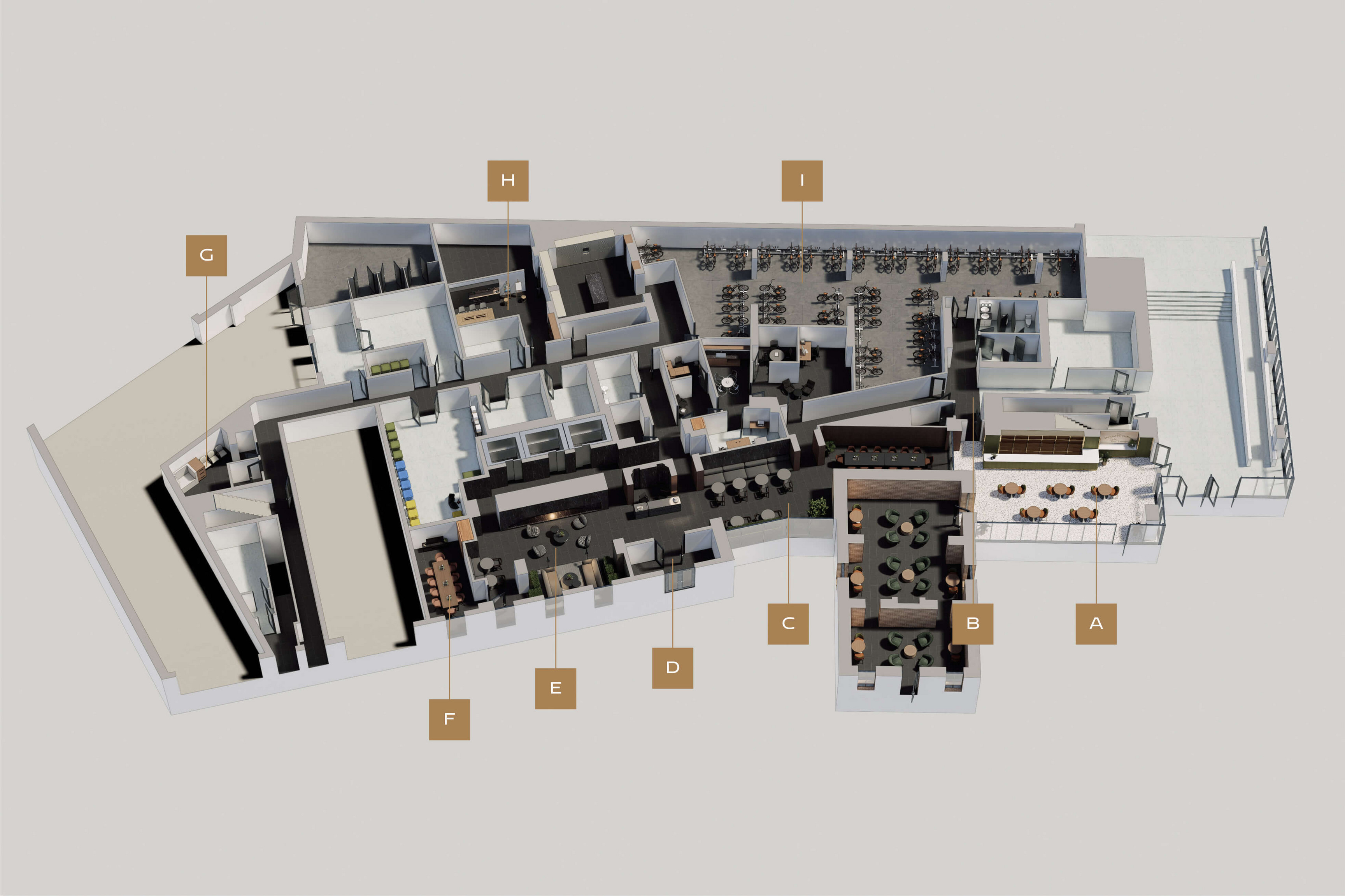 Main Level Amenities
