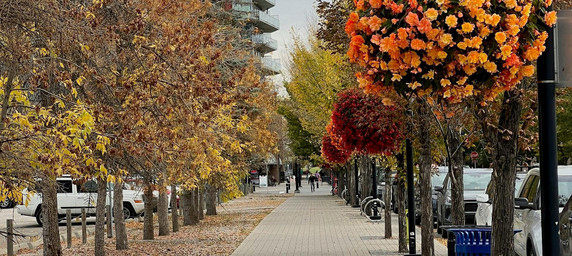 Edmonton Featured Properties