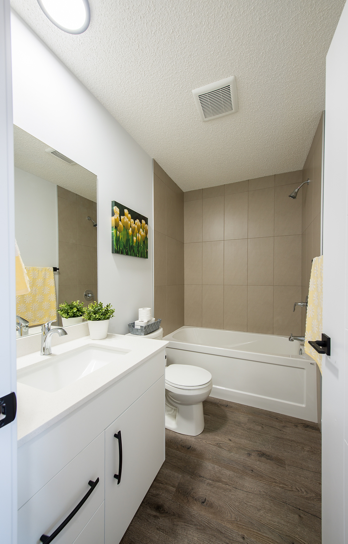 Gallery Photos
