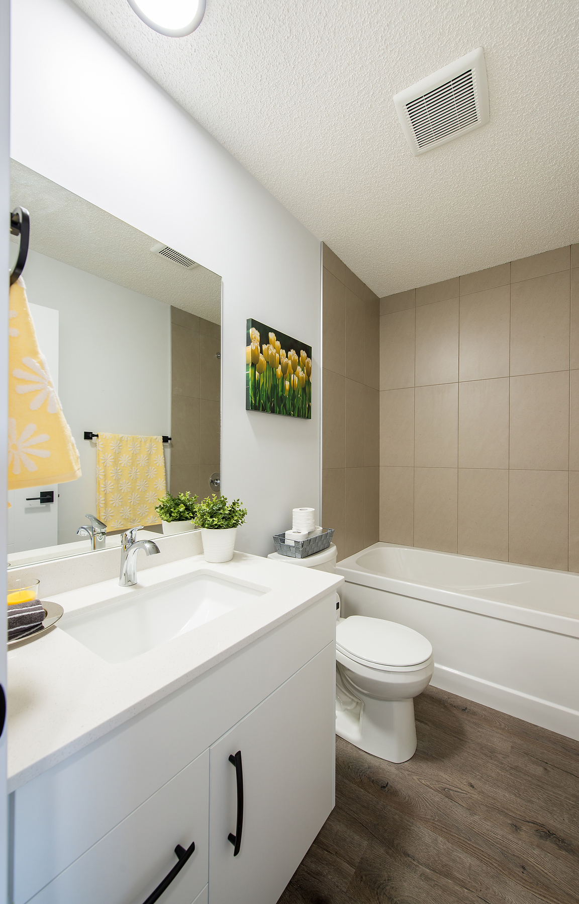 Gallery Photos