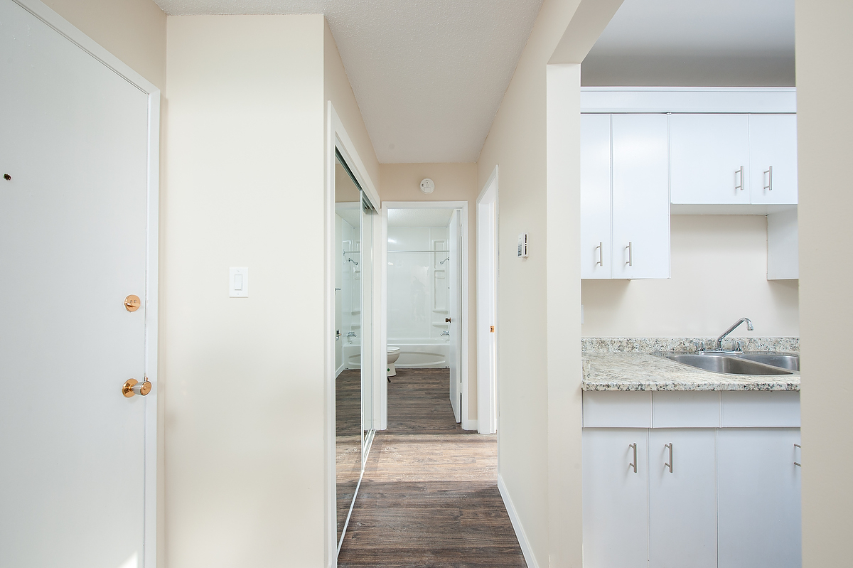Gallery Photos