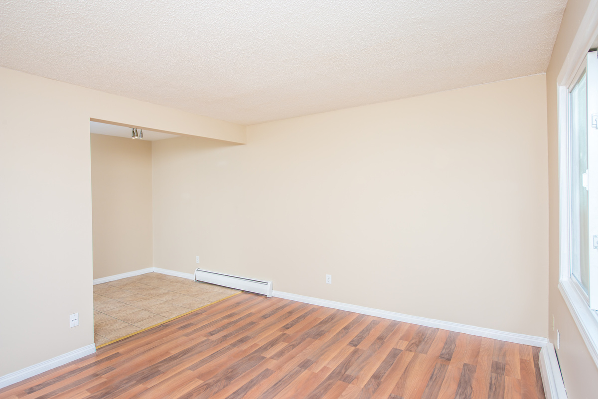Gallery Photos