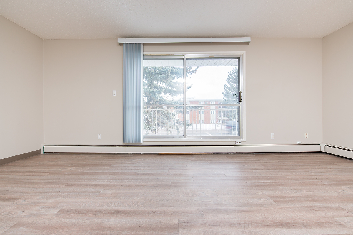 Gallery Photos