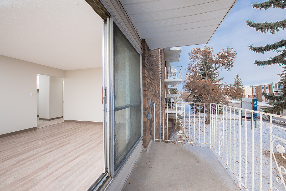 Gallery Photos