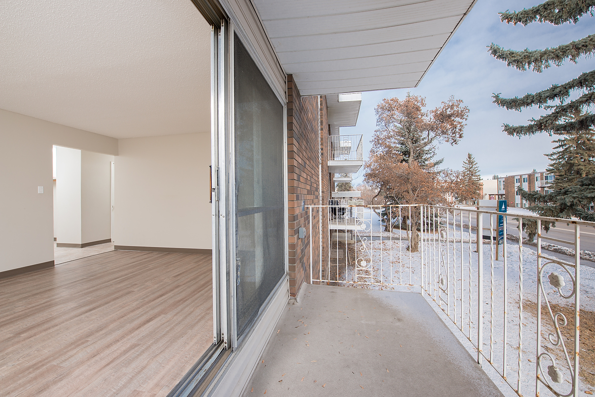 Gallery Photos