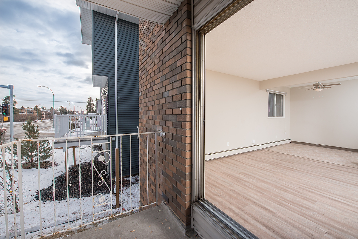 Gallery Photos