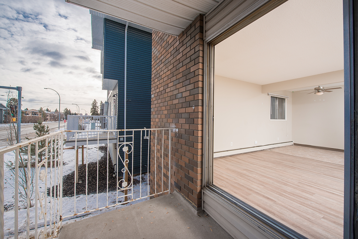 Gallery Photos