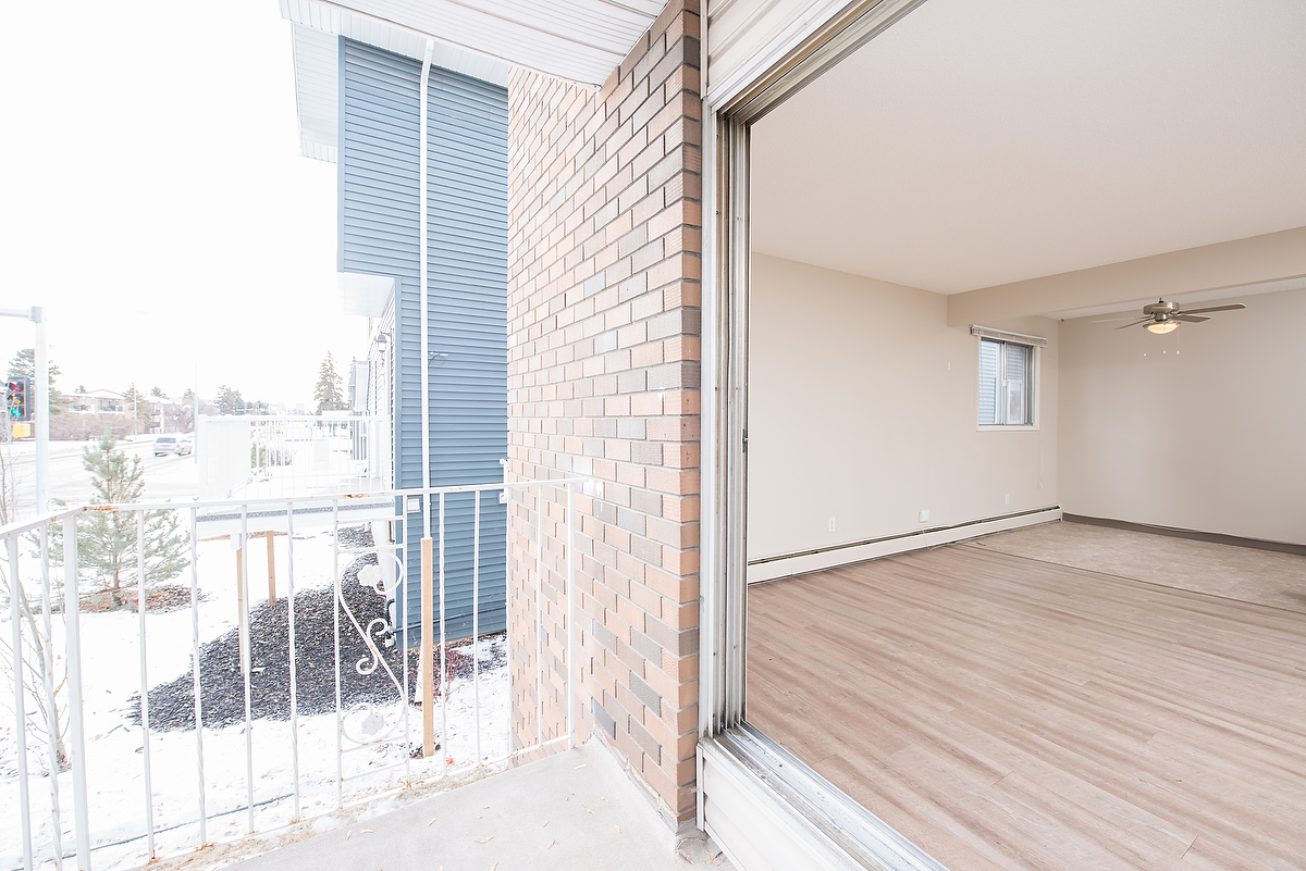 Gallery Photos