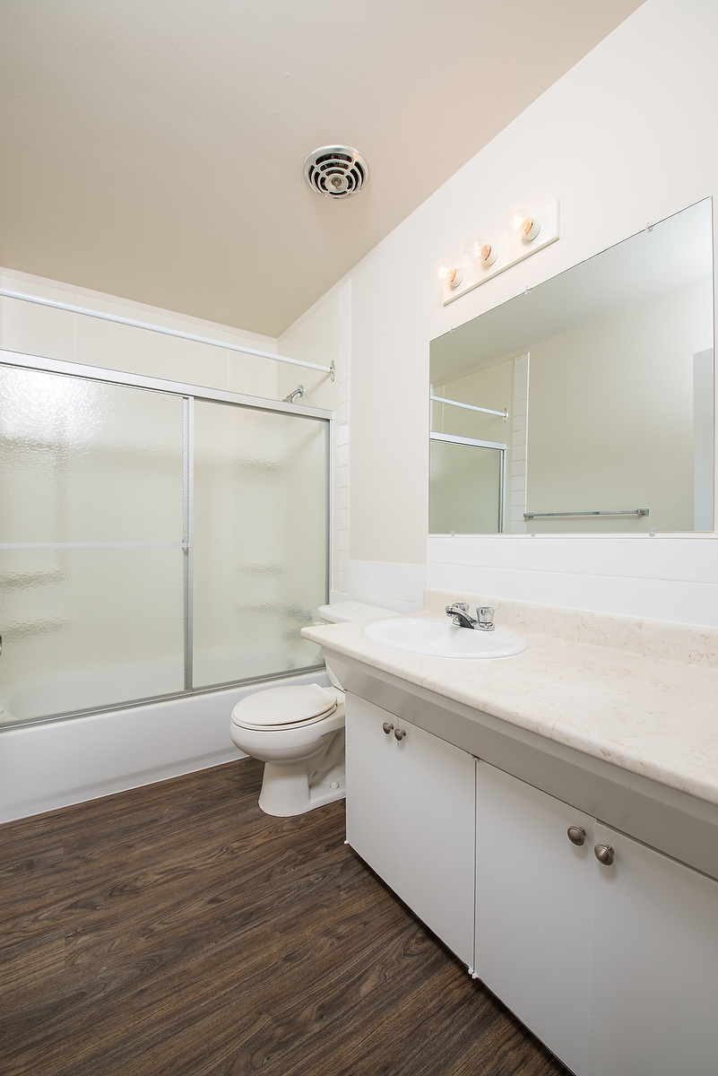 Gallery Photos