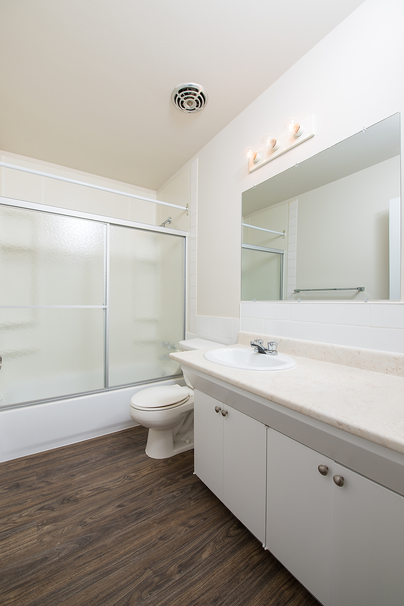 Gallery Photos