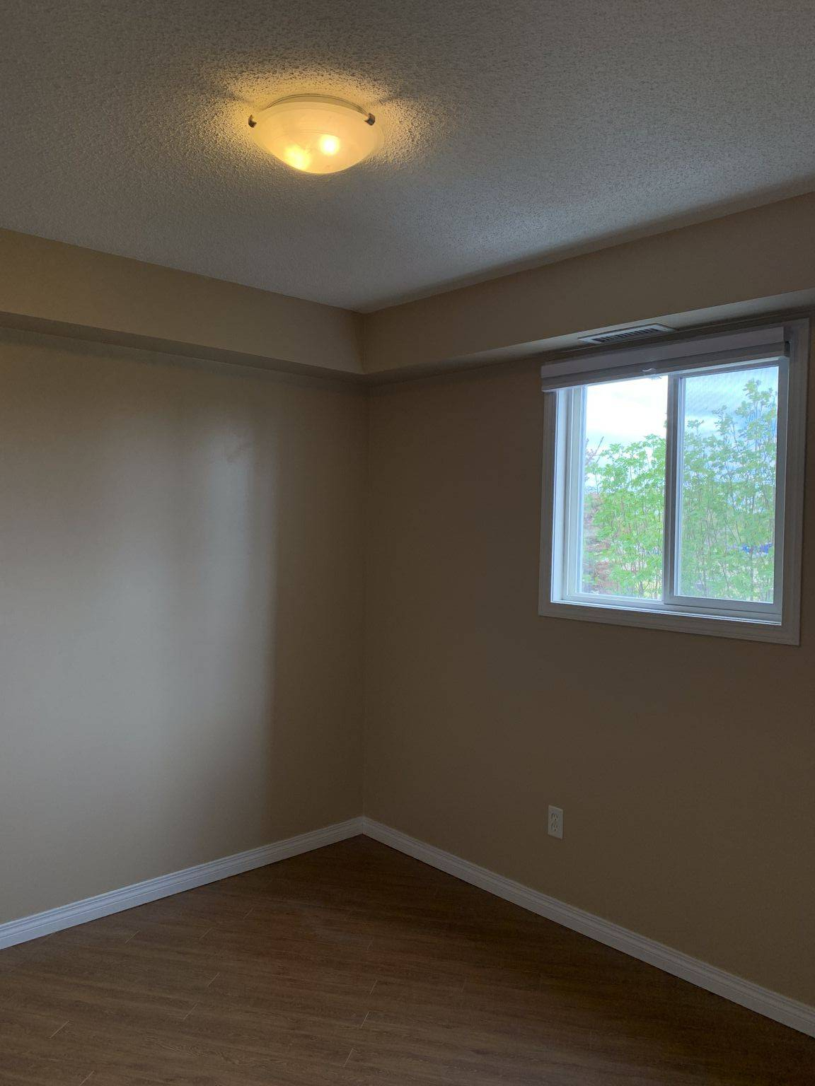 Gallery Photos