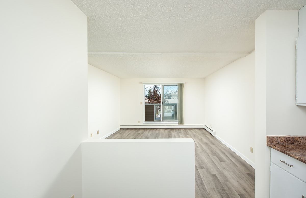 Gallery Photos