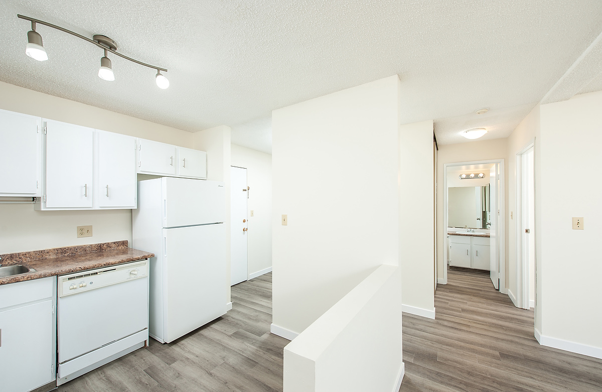 Gallery Photos