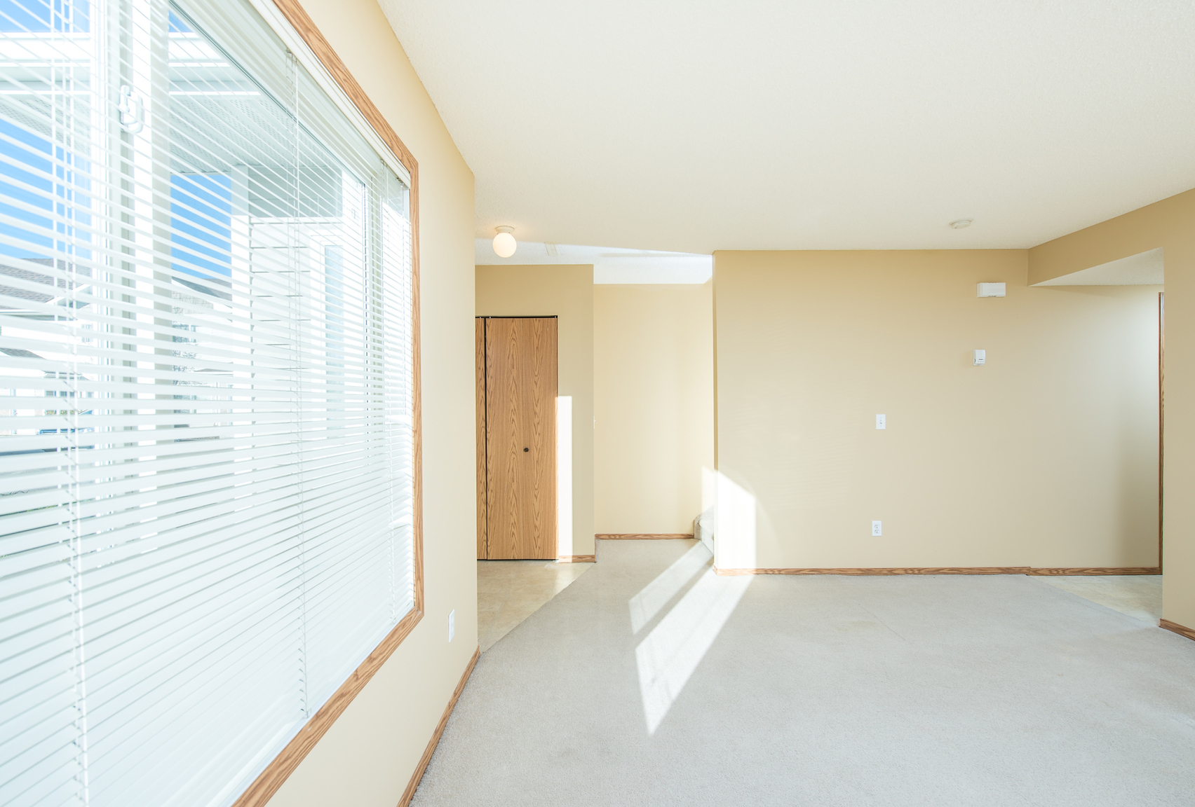 Gallery Photos