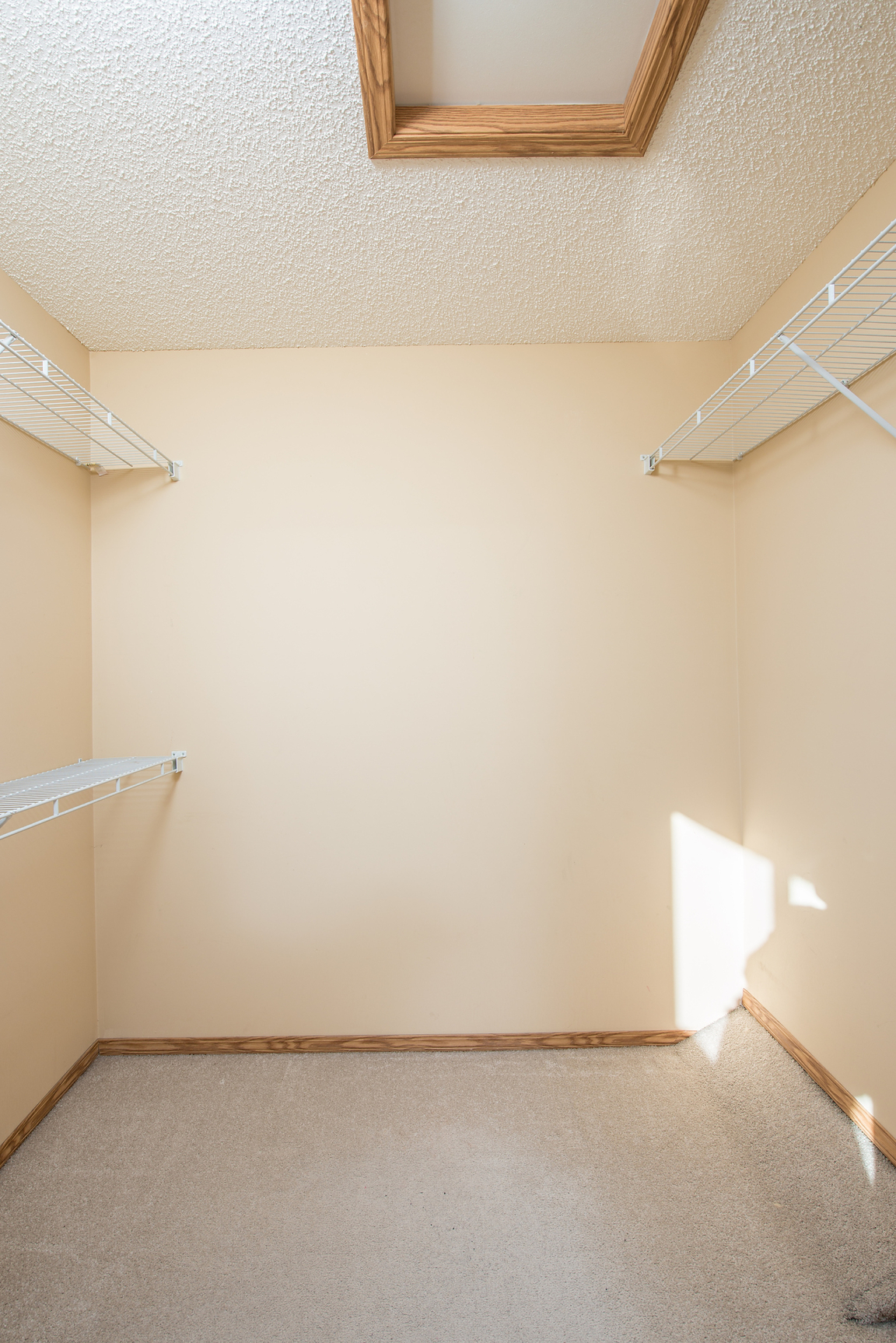 Gallery Photos