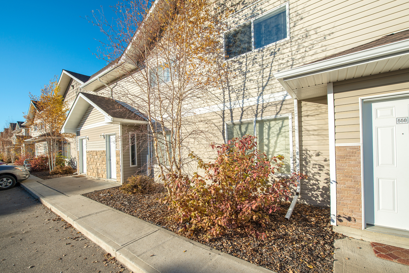 Gallery Photos