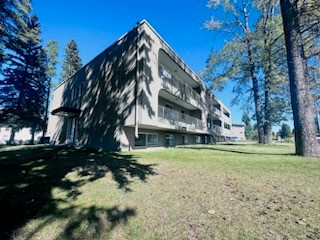 Gallery Photos