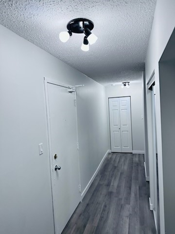 Gallery Photos