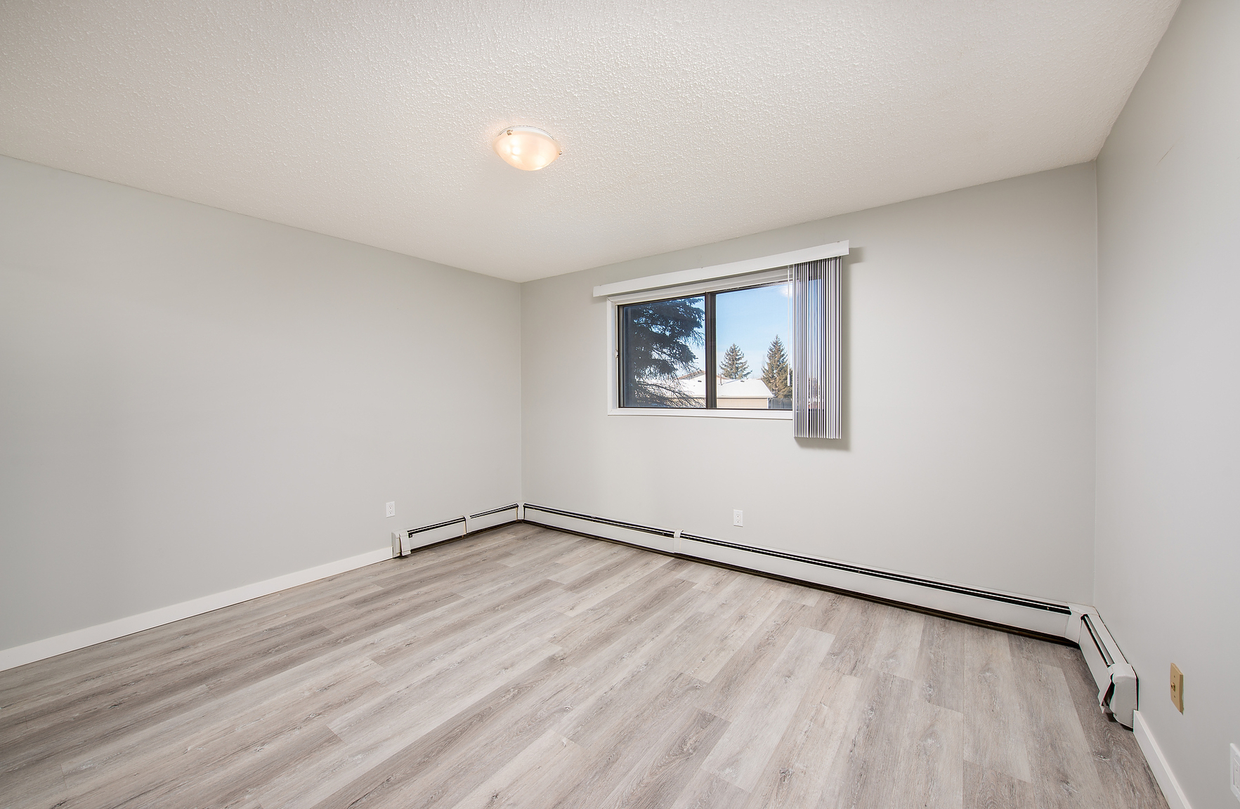 Gallery Photos