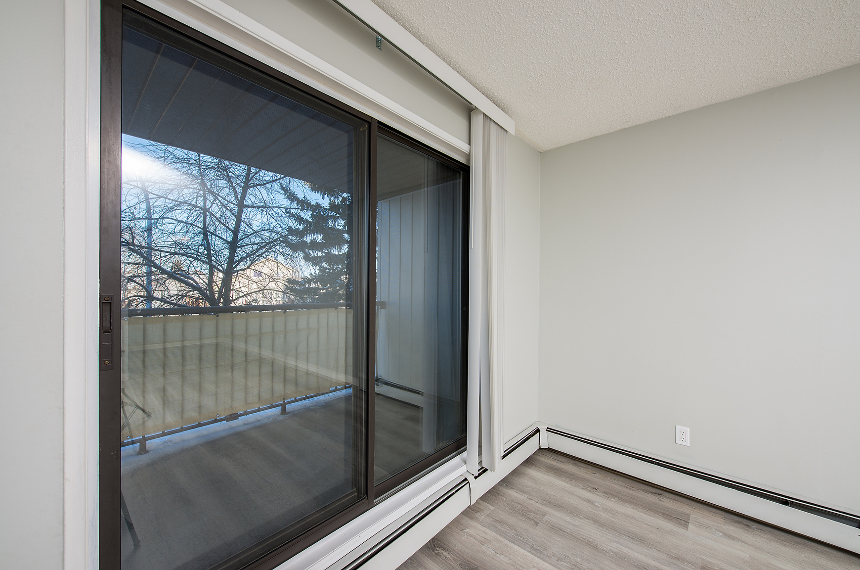 Gallery Photos
