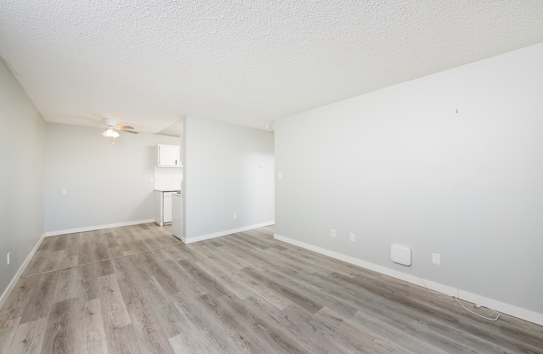 Gallery Photos