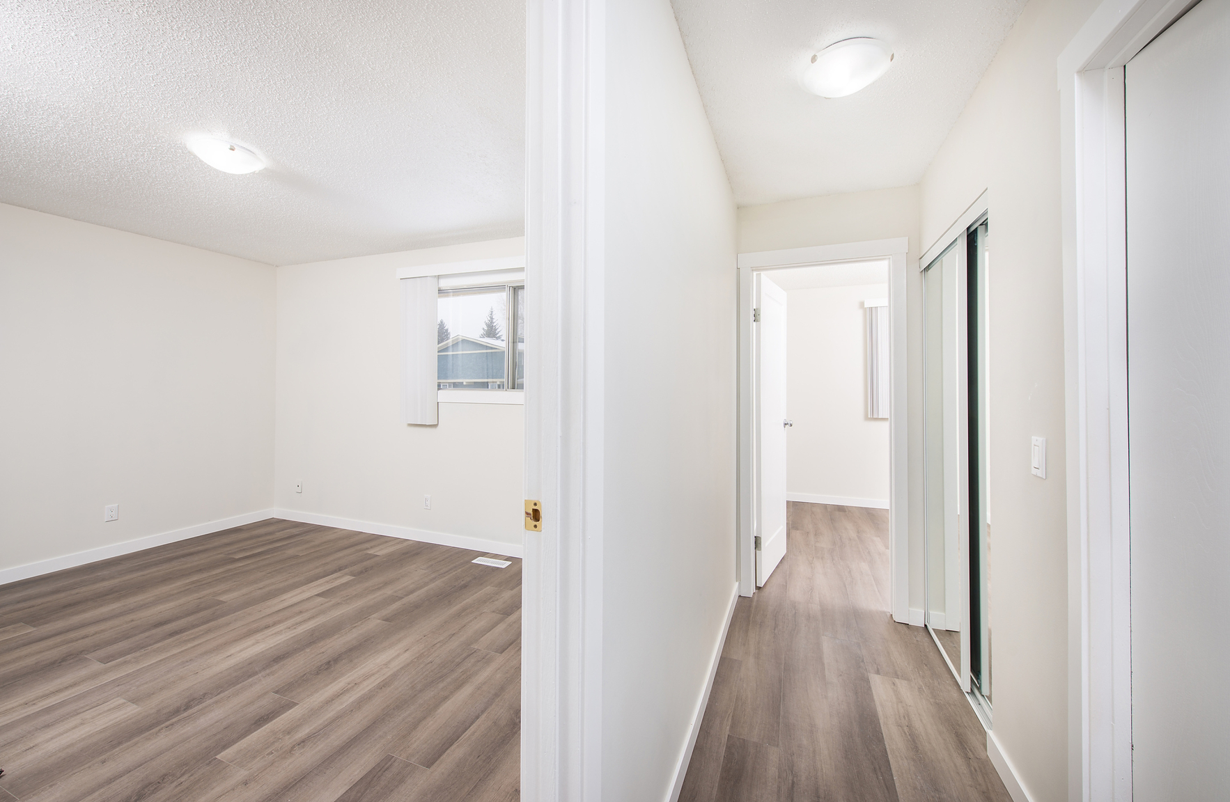 Gallery Photos