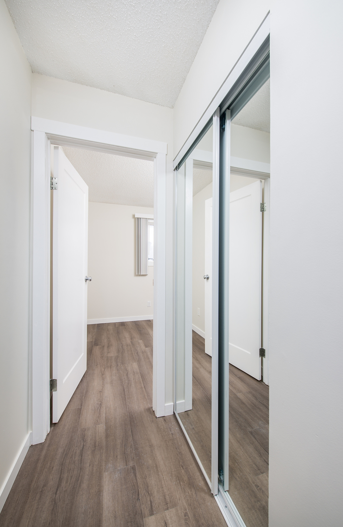 Gallery Photos